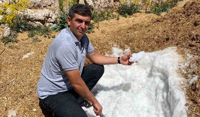 Elbistan'da Karlar Yazın Serinlik İçin Saklanıyor