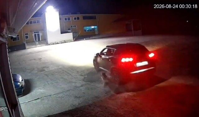 Giresun’da Köpeğin Ezildiği Görüntüler Tepki Çekti