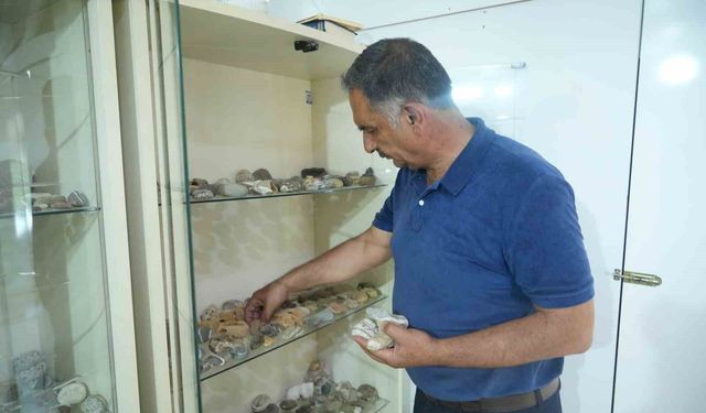 Muş’ta 40 Yıllık Taş Merakı Görenleri Şaşırtıyor
