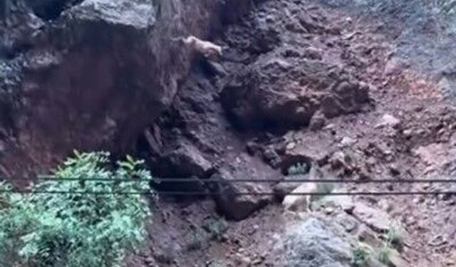 Tunceli'de Dağ Keçilerinin Zorlu Yolculuğu Görüntülendi
