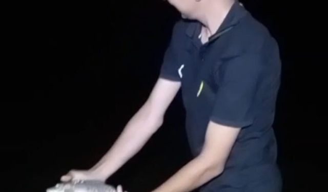 Yavru Sazanı Böyle Geri Bıraktı