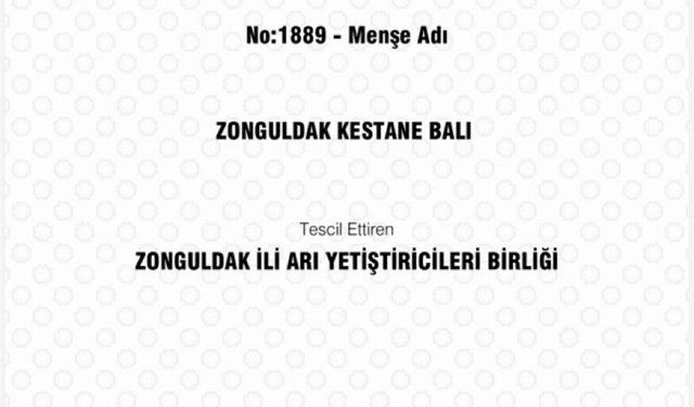 Zonguldak Kestane Balı Tescillendi