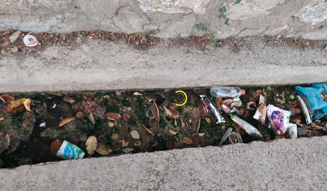 Bitlis'te Koku İsyanı! 2 Yıldır Çözüm Bekliyorlar