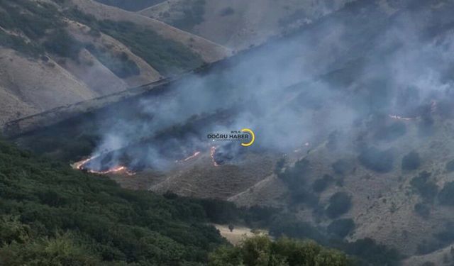 Bitliste Yangın Halen Devam Ediyor