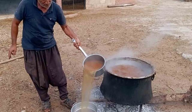 Araban’da Gün Pekmezi Mesaisi Başladı