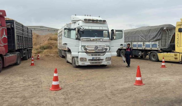 Park Halindeki Tırda Acı Olay