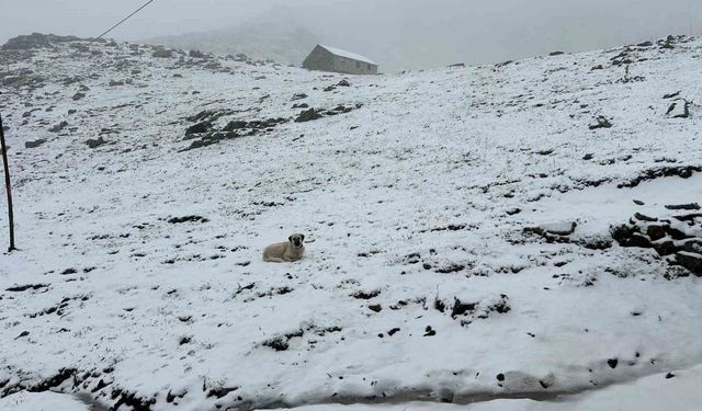 Rize’de Eylül Karı Kaçkarları Beyaza Bürüdü