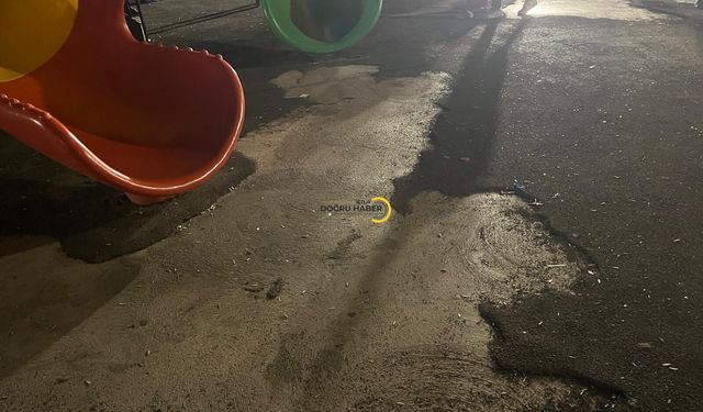 Bitlis’te Çocuk Parkında Tehlike!