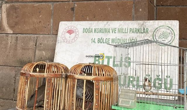 Bitlis’te Kaçak Avcılığa 85 Bin TL Ceza: Keklik ve Saka Kuşları Koruma Altına Alındı