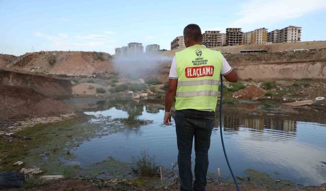 Hatay’da Haşereyle Mücadele 7 Gün 24 Saat Sürüyor