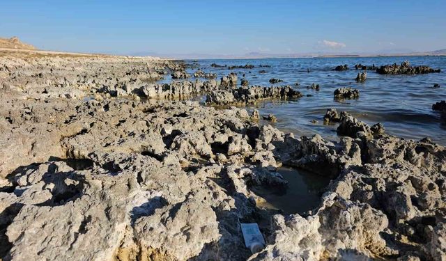 Van Gölü’nde Su Çekilmesi Yağışlara Rağmen Sürüyor