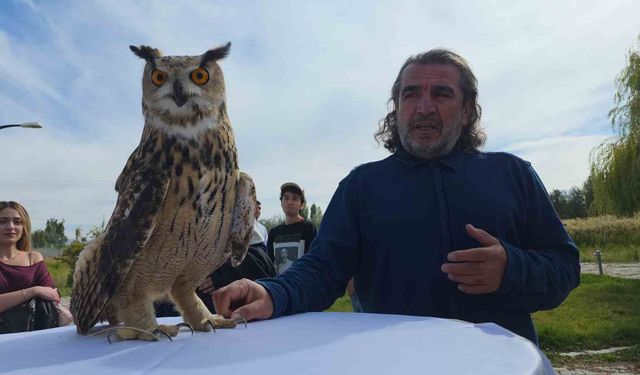 Van’da Tedavisi Tamamlanan Şahin Yeniden Doğaya Salındı