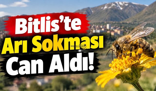 Bitlis’te Arı Sokması Can Aldı!