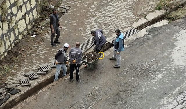 Bitlis’te Mazgallarda Temizlik Seferberliği!