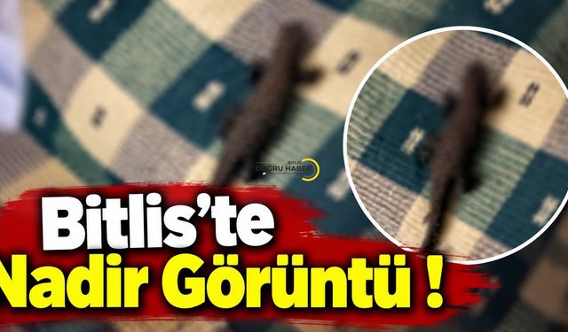 Bitlis’te Nadir Görüntü!
