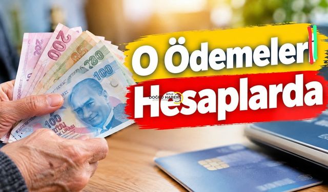 O Ödemeler Hesaplarda