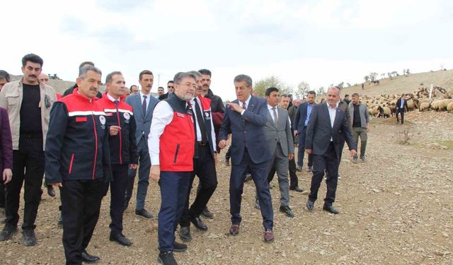 Bakan Yumaklı, Cudi Dağı eteklerinde kuzu koyun buluşmasını izledi