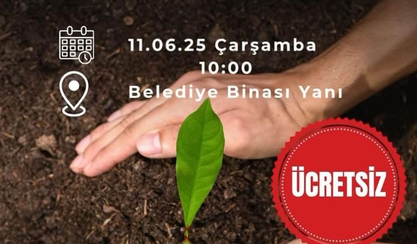 Adilcevaz Belediyesi'nden Ücretsiz Sebze Fidesi Dağıtımı