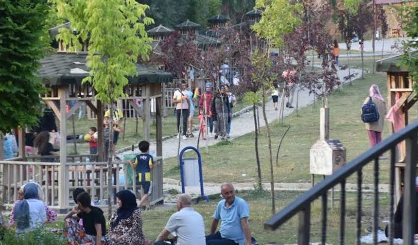 Bitlis’te havaların ısınması ve bayram tatili piknikçilere yaradı