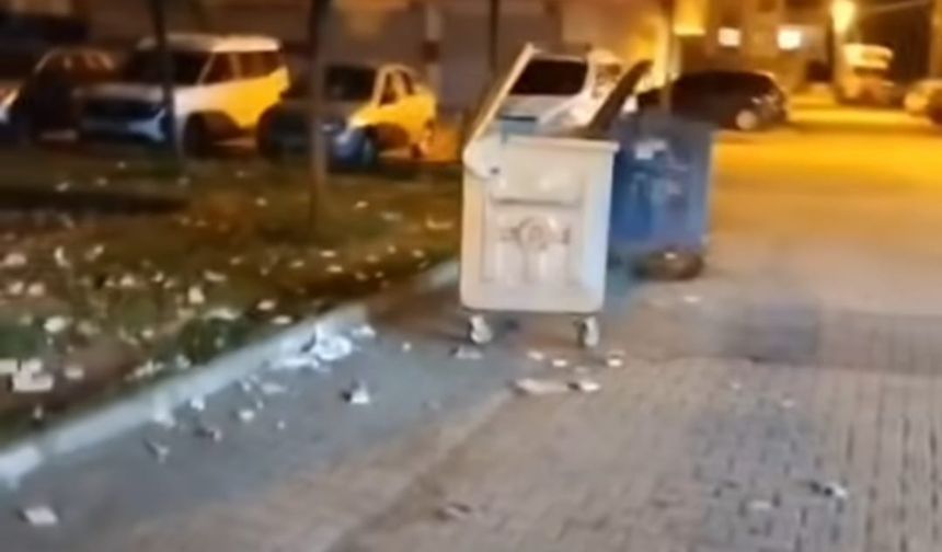 Norşin'de Bilinçli Kirlilik Şoku Belediye: "İfşa Edip Cezalandıracağız"