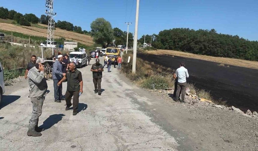 1 yıllık emek kül oldu, orman son anda kurtarıldı