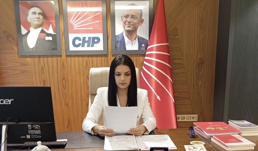CHP Bitlis İl Kadın Kolları’ndan Kadın Cinayetlerine Tepki: “Kadın Cinayetleri Politiktir!”