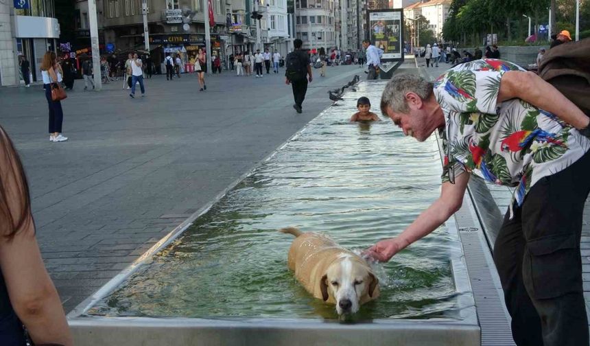 Taksim’de sıcak havadan bunalan çocuk ve köpek süs havuzunda serinledi