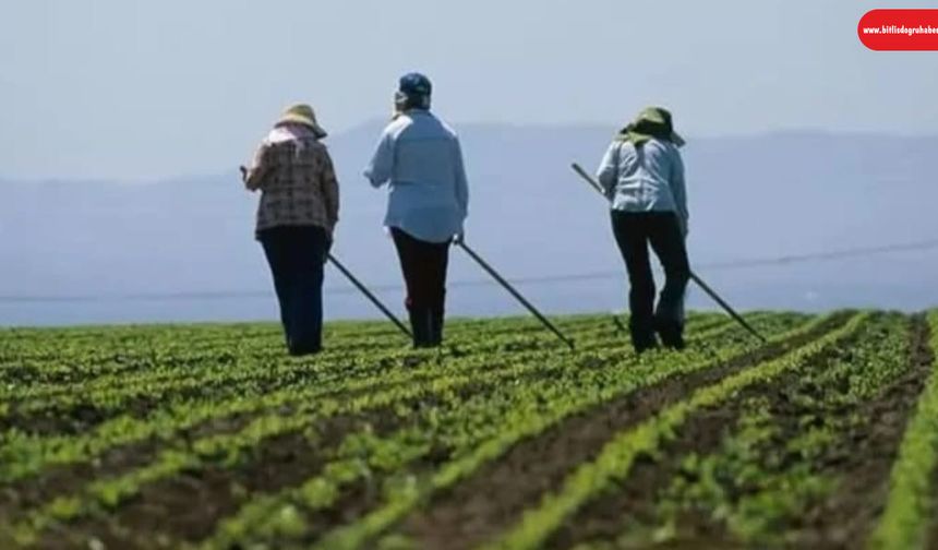 Köyüne Dönene Teşvik Yolda