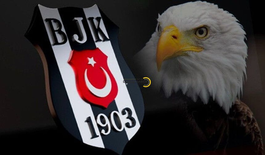 Beşiktaş Jeff Chabot için resmi teklif yaptı