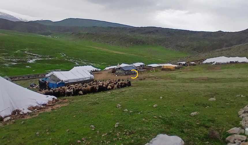 200 Yıllık Yayla Göçü Sürüyor