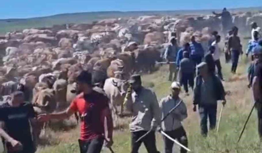 Arazi Anlaşmazlığı Silahlı Kavgaya Dönüştü
