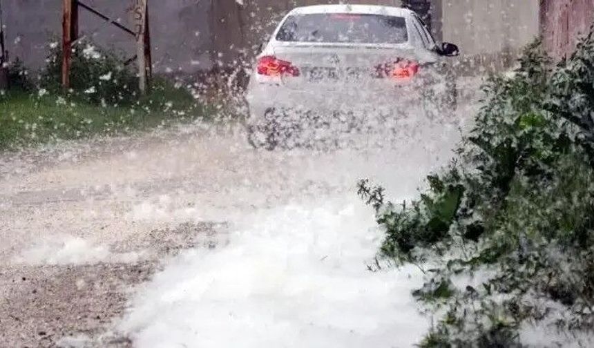 Erciş'te Polen Yangınları Korkuttu
