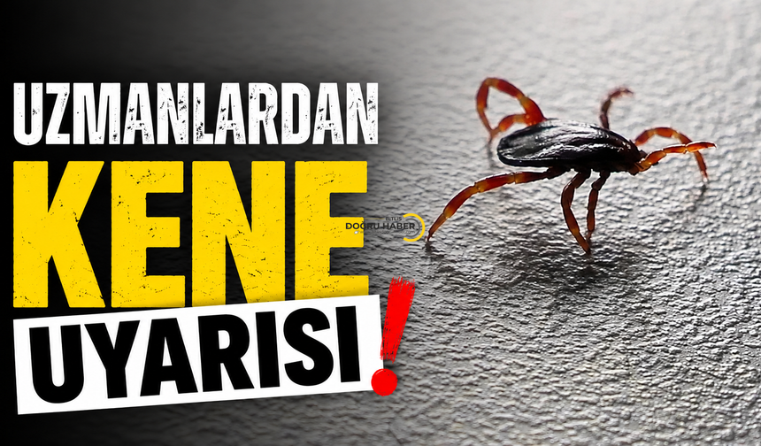 Uzmanlardan Kene Uyarısı: Çıplak Elle Dokunmayın