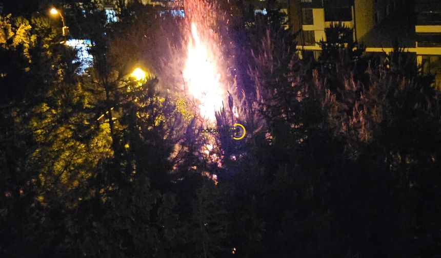 Bitlis'te Bir Mahalle Karanlığa Gömüldü