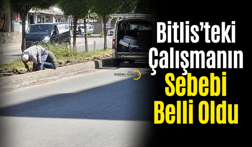 Günlerdir Merak Ediliyordu! Bitlis’teki Orta Refüj Çalışmasının Nedeni Belli Oldu