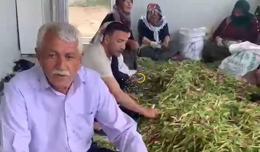Bitlis'te "Jağ" mesaisi sürüyor