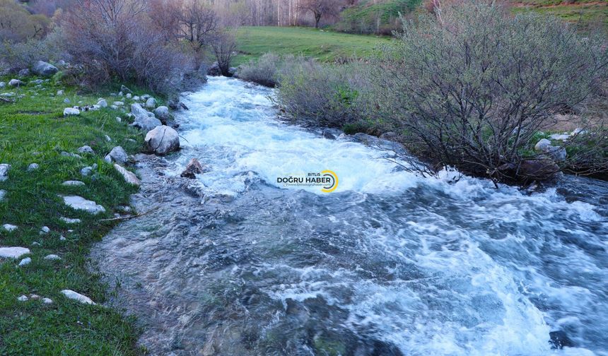 Bitlis'in kar suları Van Gölü'ne güç katıyor
