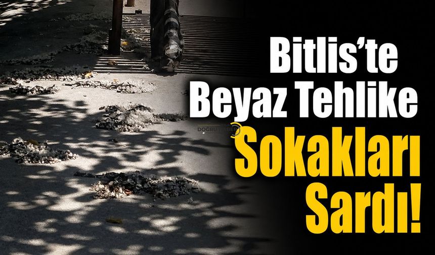 Bitlis’te Beyaz Tehlike Sokakları Sardı