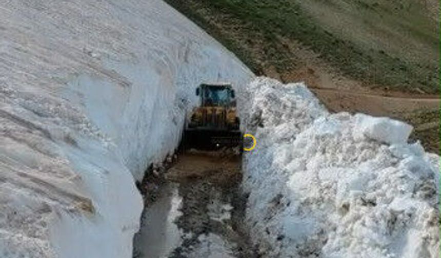 Bitlis'te karla mücadele sürüyor