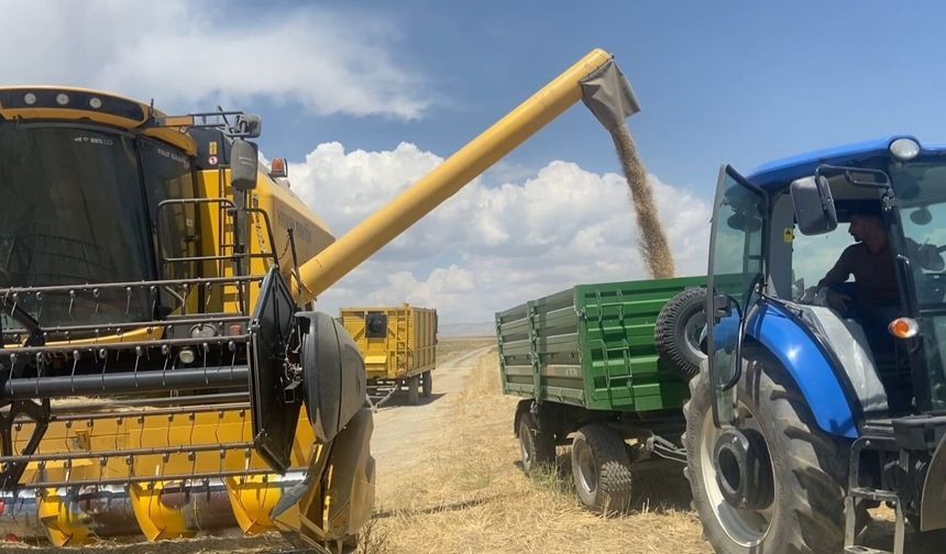 Adilcevaz'da Buğday Hasadı Başladı