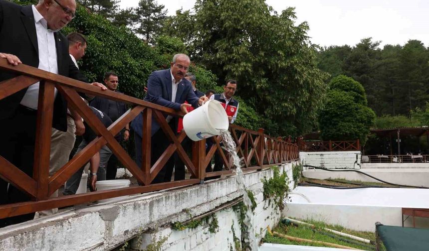 Ayazma Deresi'ne 50 Bin Alabalık Yavrusu Bırakıldı