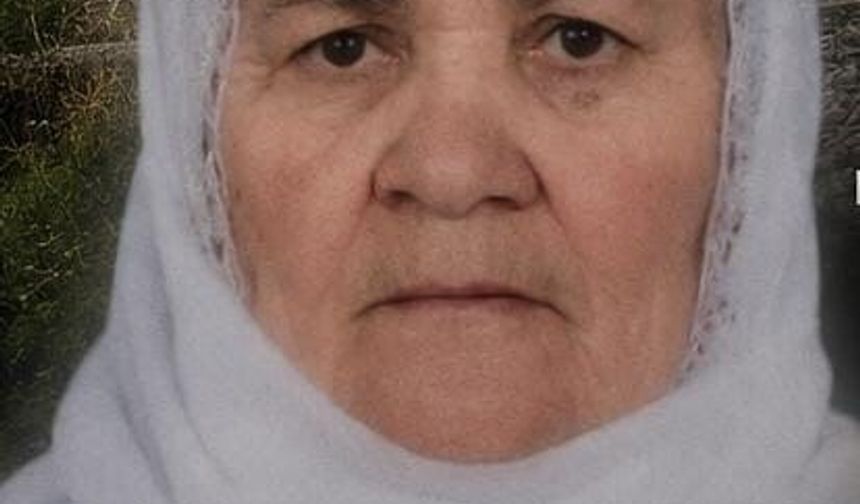 Tatvan'da Trenin Çarptığı Kadın Hayatını Kaybetti