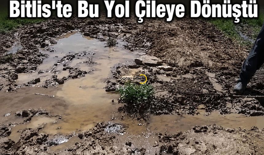 Bitlis'te Bu Yol Çileye Dönüştü