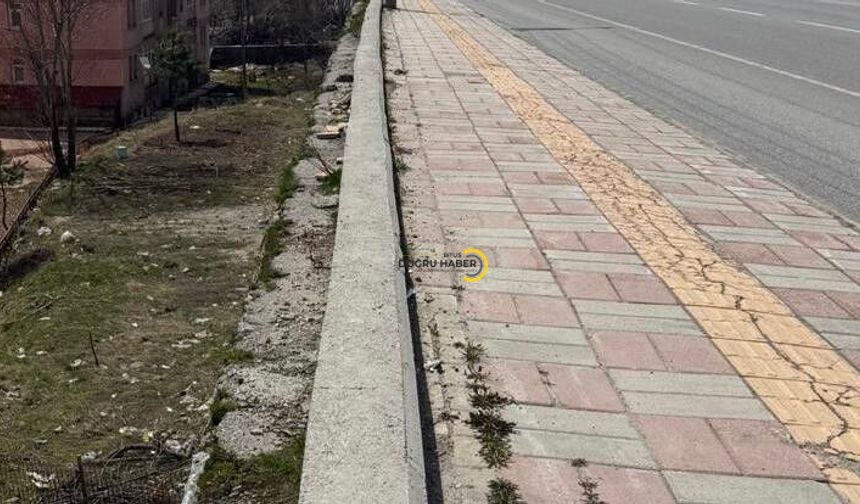 Bitlis'te O Bölge İçin Acil Önlem Talebi