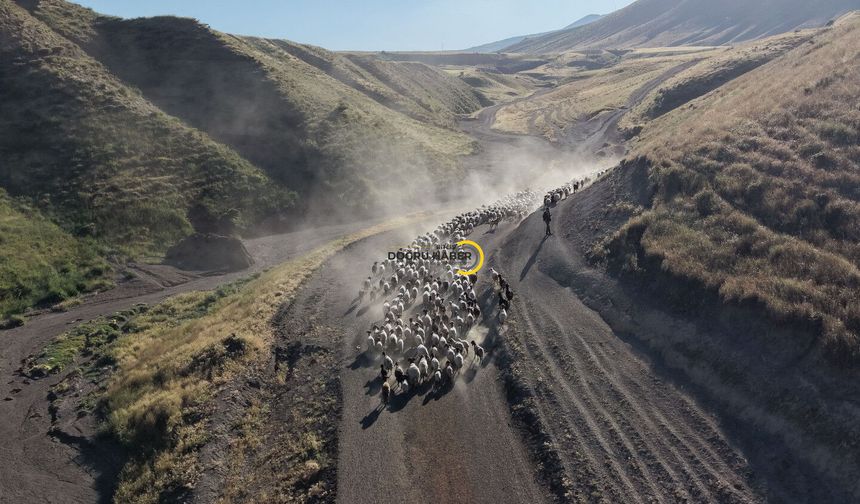 Nemrut'un Eteklerinde Her Gün Tekrarlanan "Tozlu Yolculuk" Görsel Şölen Sunuyor