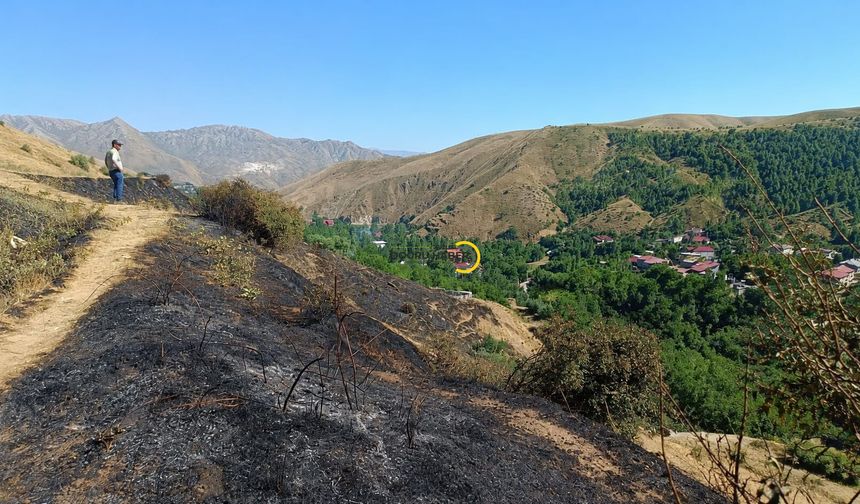 Bitlis'te Korkutan Yangın!