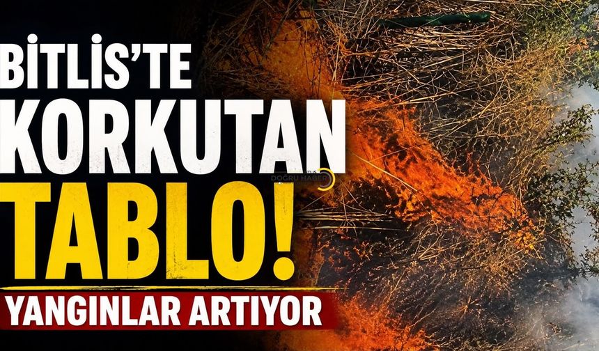 Bitlis'te Korkutan Tablo! Geriye Büyük Tahribat Kaldı