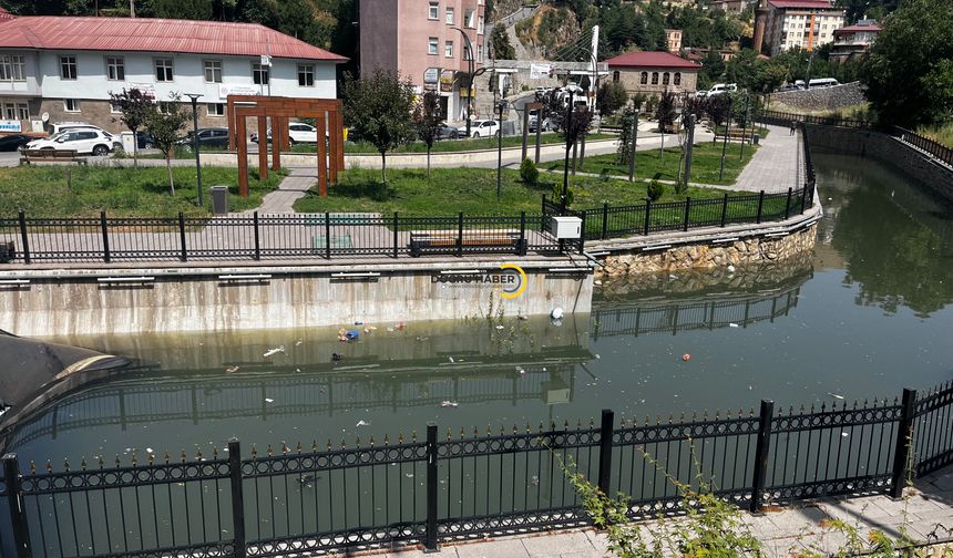 Bitlis Deresindeki Kirlilik Gözler Önünde