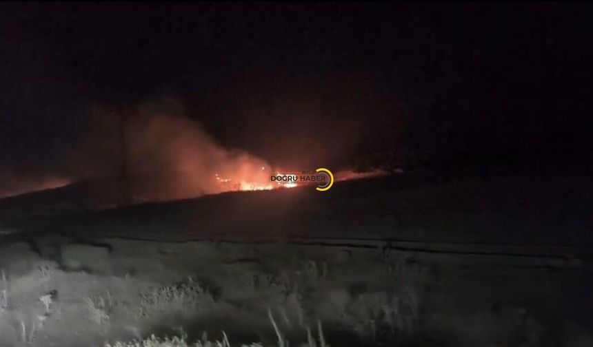 Bitlis'te Gece Alarmı! Alevler Büyümeden Söndürüldü