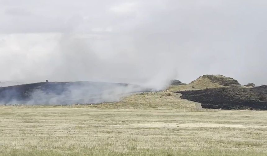 Ahlat Ve Tatvan Arasında Otluk Yangını